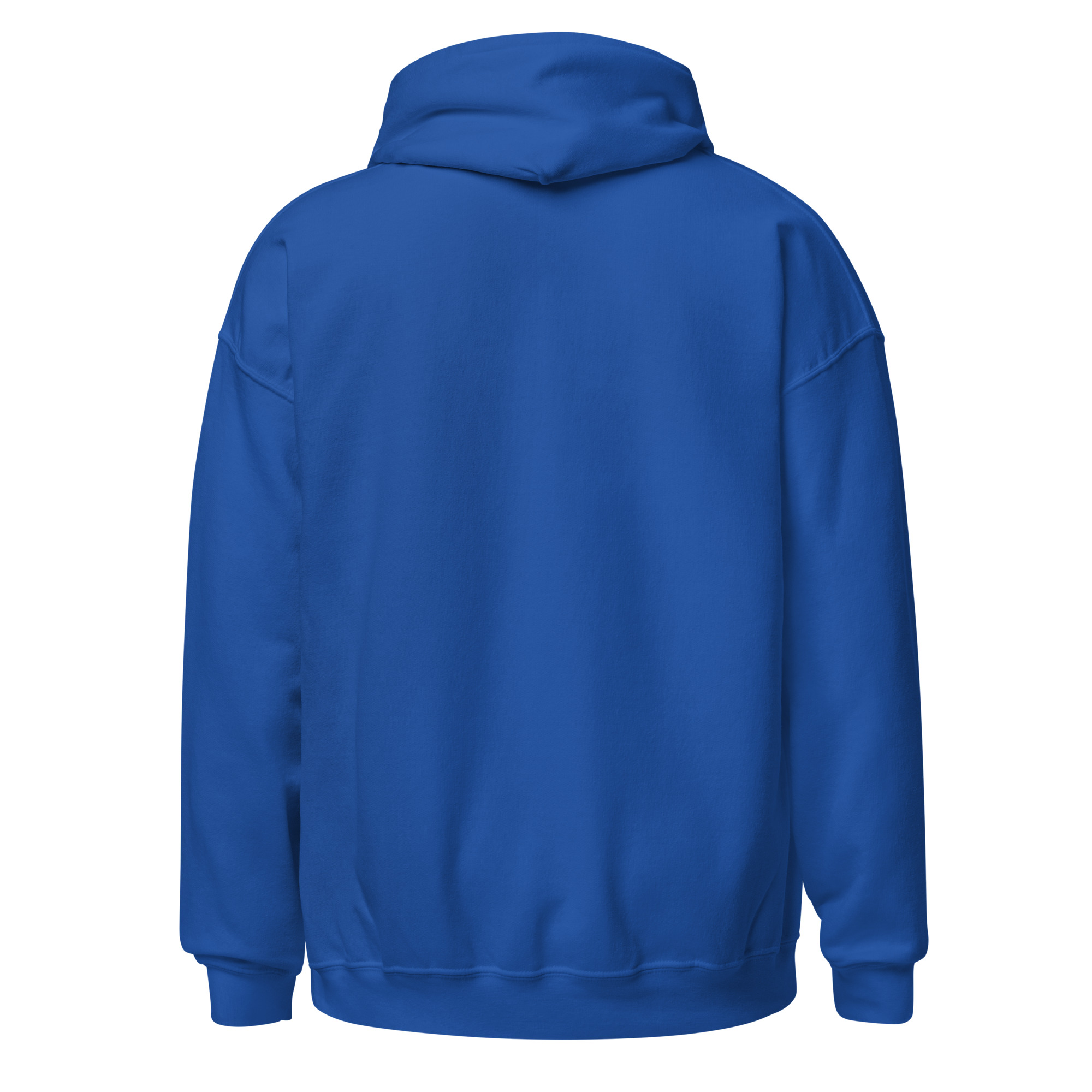 unisex-heavy-blend-hoodie-royal-back-6825c68c28f5e.jpg